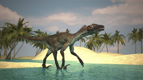 Utahraptor walking across a riverbed Poster Print - Item # VARPSTKVA600697P