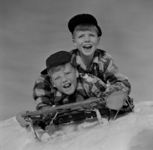 Twin boys sledging Poster Print