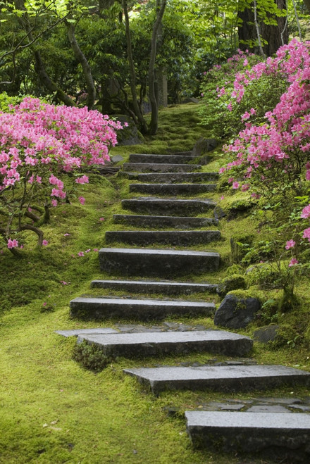Rock Stairway Along A Moss Covered Hill With Flowering Bushes; Portland Oregon United States Of America PosterPrint - Item # VARDPI1964745