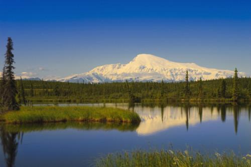 View Of Mount Sanford In Wrangell Saint Elias National Park, Southcentral Alaska, Summer PosterPrint - Item # VARDPI2094365