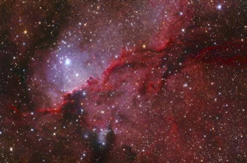 Starforming emission nebula NGC 6188 in the constellation Ara Poster Print - Item # VARPSTFEN200027S