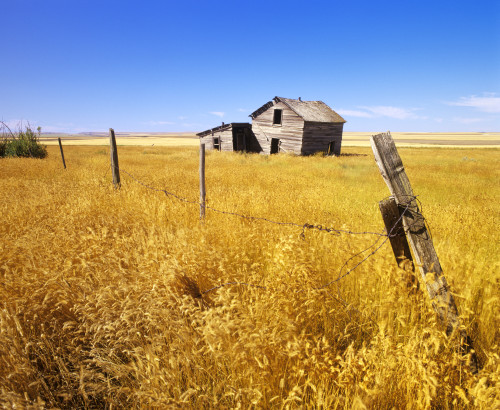 Old Farmhouse, Near Ponteix, Saskatchewan PosterPrint - Item # VARDPI2042939