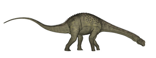 Uberabatitan dinosaur isolated on white background Poster Print - Item # VARPSTEDV600322P