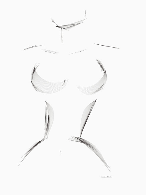 Computer Generated Image Of A Woman's Curves PosterPrint - Item # VARDPI2356011