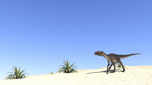 Utahraptor in a desert landscape Poster Print - Item # VARPSTKVA600264P