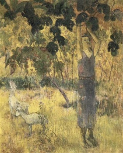 Man Gathering Fruit  1897  Paul Gauguin  Oil on canvas  State Hermitage Museum  St. Petersburg  Russia Poster Print - Item # VARSAL261756