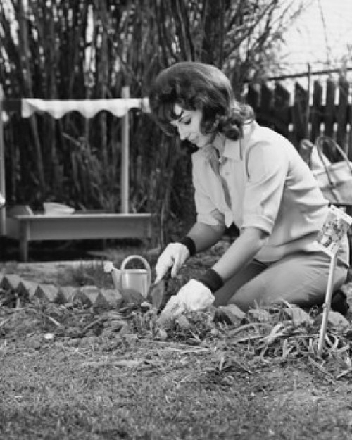 Young woman gardening Poster Print - Item # VARSAL25532232