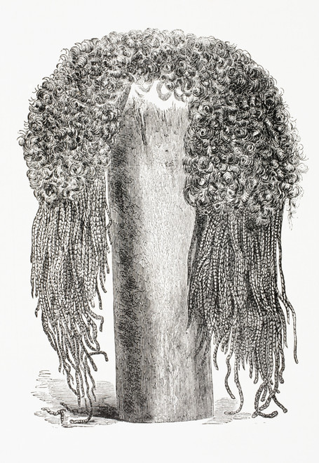 An Ancient Egyptian Wig. From El Mundo Ilustrado, Published Barcelona, 1880. PosterPrint - Item # VARDPI1958206