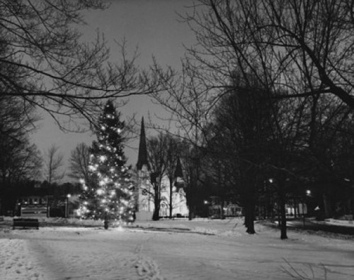 Decorated Christmas tree on a snow covered landscape  Bedford Village  New York  USA Poster Print - Item # VARSAL25538098