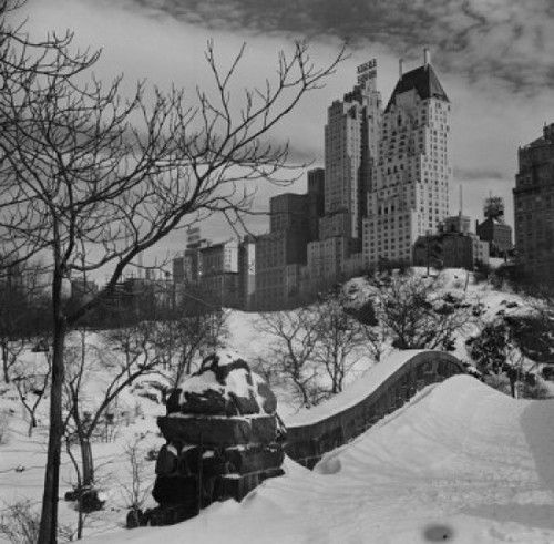 USA  New York City  Central Park in winter Poster Print - Item # VARSAL255424344