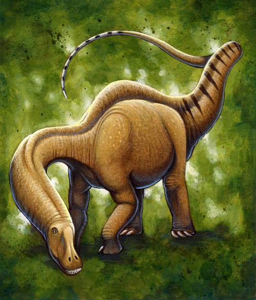 Apatosaurus, a sauropod dinosaur that lived during the Jurassic Period. Acrylics and colored pencil. Poster Print - Item # VARPSTHKY100013P