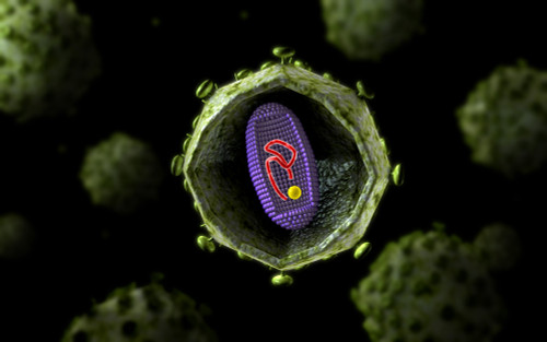 Microscopic view of HIV virus, cross section Poster Print - Item # VARPSTSTK700075H