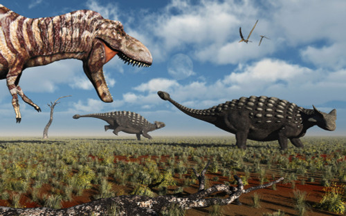 A carnivorous Tyrannosaurus Rex hunting down a pair of Ankylosaurus dinosaurs during Earth's Cretaceous Period. Poster Print - Item # VARPSTMAS100681P