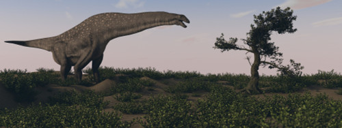 Titanosaurus standing grazing in swamp grassland Poster Print - Item # VARPSTKVA800824P