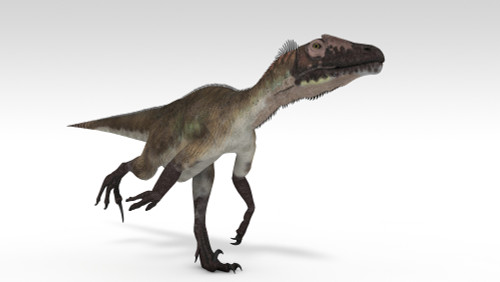 Utahraptor dinosaur, white background Poster Print - Item # VARPSTKVA600773P