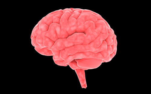 Conceptual image of human brain Poster Print