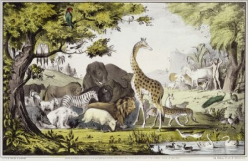 Adam Naming the Creatures  1847  Currier & Ives  Lithograph   Library of Congress  Washington  DC Poster Print - Item # VARSAL9001120