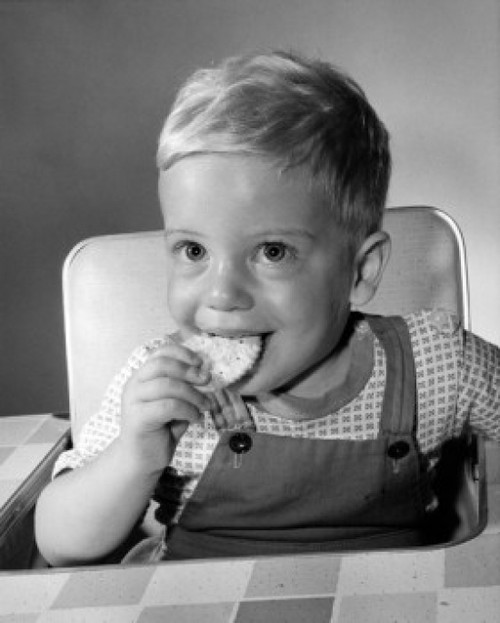 Little boy eating biscuit Poster Print