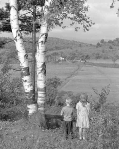 Vintage photograph of children in rural landscape Poster Print - Item # VARSAL25516245