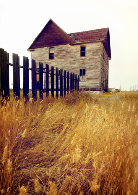 Abandoned House Near Robsart, Saskatchewan, Canada PosterPrint - Item # VARDPI2062453