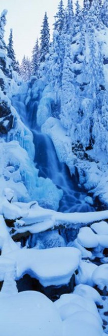 Manning Park  British Columbia  Canada Poster Print by Panoramic Images (12 x 38) - Item # PPI38787