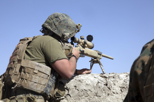 A U.S. Marine looks through the scope of an M40A1 sniper rifle Poster Print - Item # VARPSTSTK104430M
