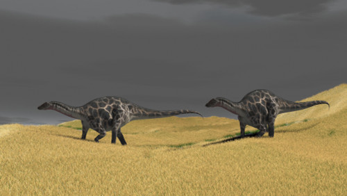 Dicraeosaurus walking across prehistoric grasslands Poster Print - Item # VARPSTKVA600115P