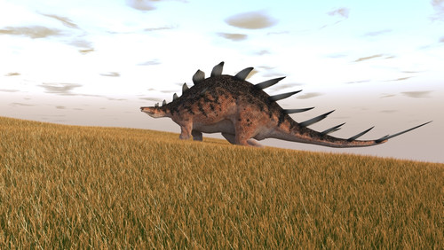 Kentrosaurus walking across a grassy field Poster Print - Item # VARPSTKVA600576P
