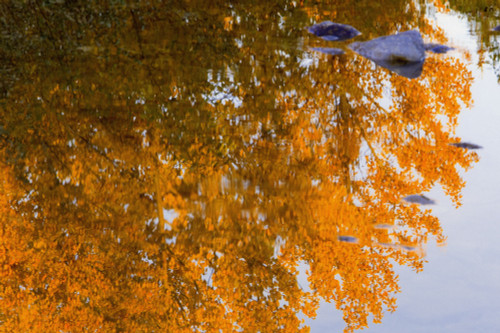 Autumn Reflections PosterPrint - Item # VARDPI1784109