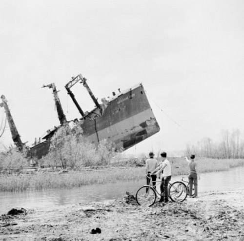 USA  Louisiana  New Orleans  Sunken ship in Mississippi River Poster Print - Item # VARSAL255424908