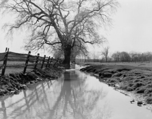 USA  Pennsylvania  Lancaster County  rural landscape Poster Print - Item # VARSAL255423507