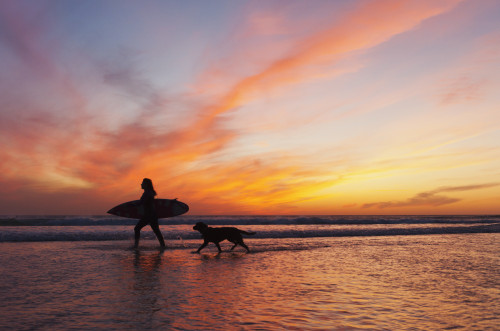 A group of teenagers in bathing suits sitting in water at sunset; Tarifa,  Cadiz, Andalusia, Spain - Stock Photo - Dissolve