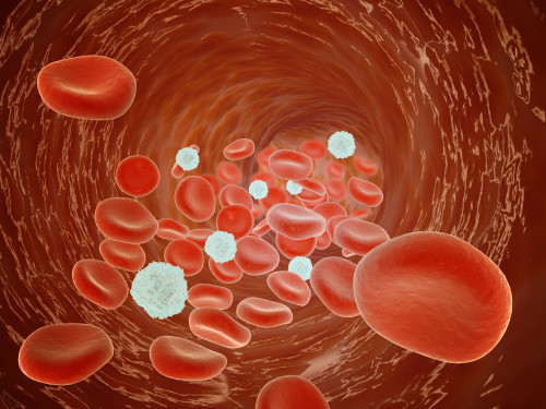 Red blood cell flow inside the artery Poster Print - Item # VARPSTSTK700326H