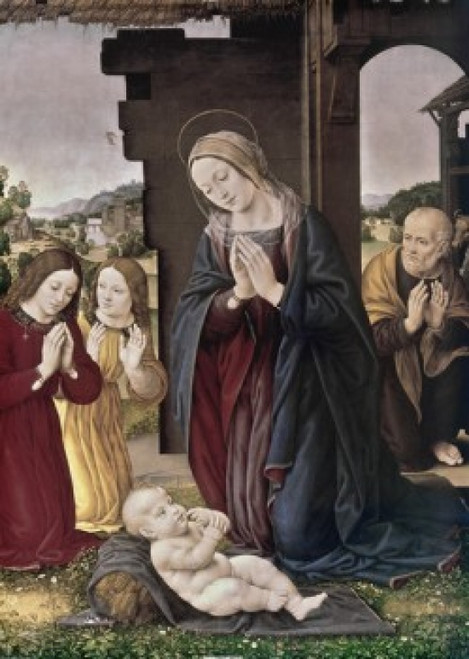 Nativity   Lorenzo de Credi  Poster Print - Item # VARSAL900103590