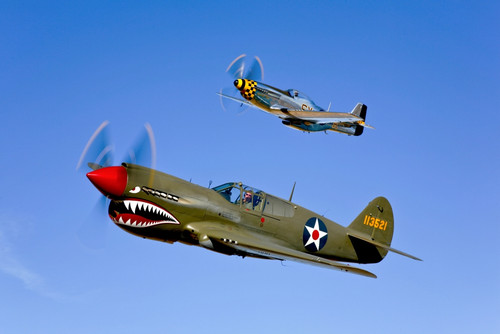 A P-40E Warhawk and a P-51D Mustang Kimberly Kaye in flight near Chino, California Poster Print