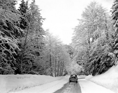 USA  Washington  Cascade Mountains  highway after heavy snow Poster Print - Item # VARSAL255422254