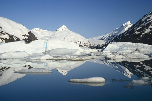 Icebergs In Lake Portage Glacier Southcentral Alaska PosterPrint - Item # VARDPI2132271