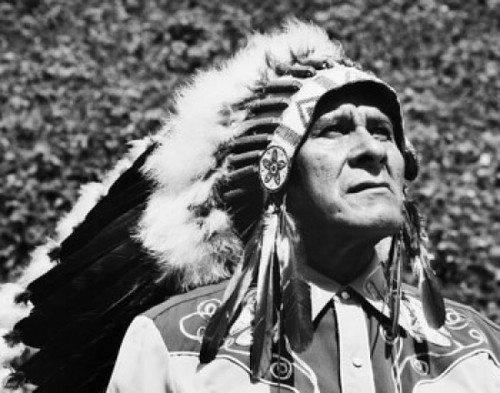 Close-up of a Cherokee man Poster Print - Item # VARSAL25544796
