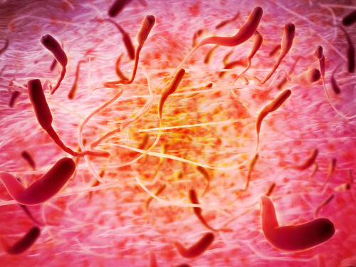 Microscopic view of sperm Poster Print - Item # VARPSTSTK700412H