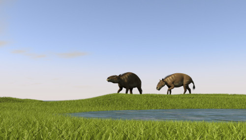 Eurohippus grazing along a swamp Poster Print - Item # VARPSTKVA600602P