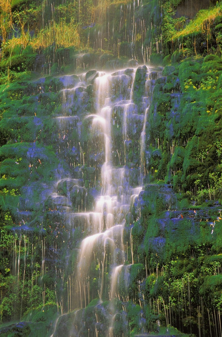 Time Delay Of Waterfall On Green Cliff PosterPrint - Item # VARDPI188715