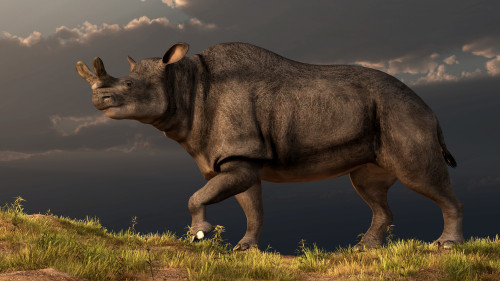 A Brontotherium walking atop a grassy hill Poster Print - Item # VARPSTDEK600006P
