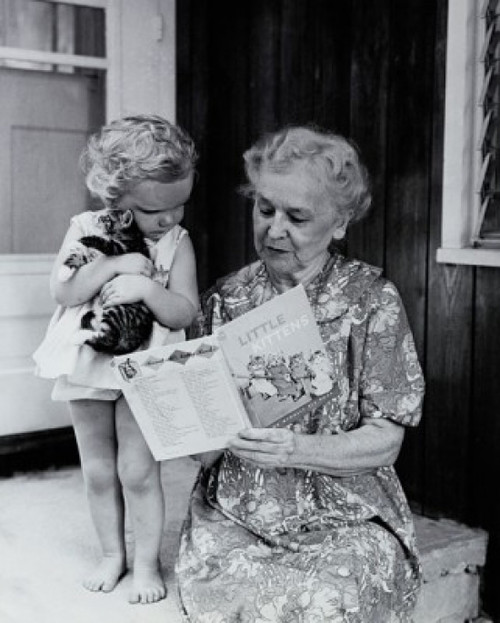 Close-up of a granddaughter holding a kitten with her grandmother showing her a picture book Poster Print - Item # VARSAL25520087