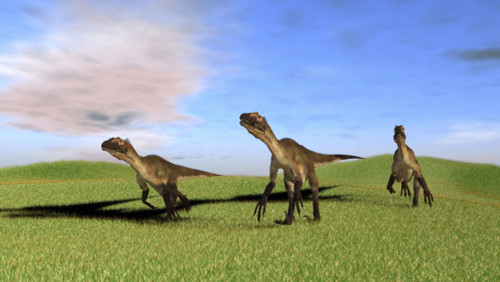 Three Utahraptors running across a grassy field Poster Print - Item # VARPSTKVA600535P