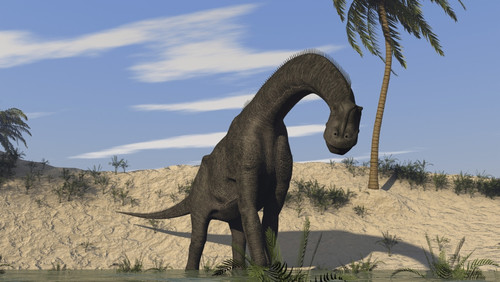 Large Brachiosaurus standing in water Poster Print