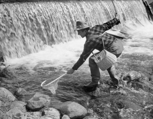 Mid adult man fly fishing in a river Poster Print - Item # VARSAL25521248