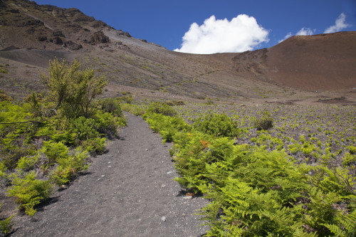 Hawaii, Maui, Haleakala, The hiking trail through the Volcanic Crater. PosterPrint - Item # VARDPI2116506