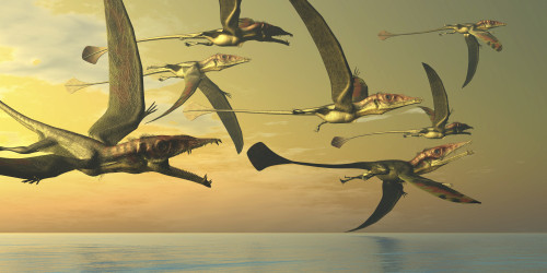 A flock of Eudimorphodon flying reptiles search for fish in the Triassic Period Poster Print - Item # VARPSTCFR200359P