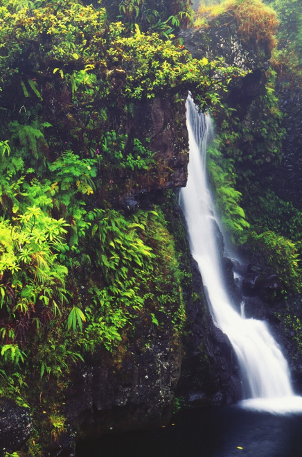 Hawaii, Maui, Foliage And Waterfall Along Hana Highway PosterPrint - Item # VARDPI1993742