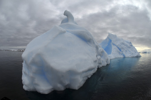 Floating iceberg with grey sky and black sea, Antarctica Poster Print - Item # VARPSTMME400061U